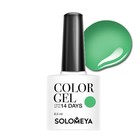 Гель-лак Solomeya Color Gel Natural Green, 8,5 мл - фото 298041925