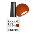 Гель-лак Solomeya Color Gel Spicy cinnamon, 8,5 мл - фото 298041945