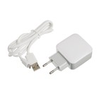 Сетевое зарядное устройство Jet.A, 2 USB, 2.4/1 А, micro USB, 1 м, белое - Фото 1