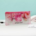 Пенал школьный, плоский, ПВХ, 9.5×20.5 см «Счастье ждет тебя» - Фото 3