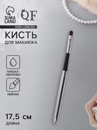 Кисть для макияжа, компактная, 17.5 см, чёрная, серебристая - Фото 1
