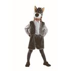 Карнавальный костюм «Волк», мех, размер 28, рост 110 см - фото 3184302