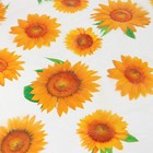 Клеёнка на стол Доляна, ширина 137 см, толщина 0.07 мм, рулон 30 м - Фото 3