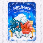 Магнит «Мурманск. Медведи» - Фото 1