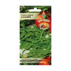 Семена Индау (Рукола) "Кальяри дикая", скороспелая, листья нежные, вкус очень яркий, 0,5 г - Фото 2