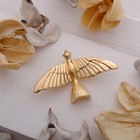 Брошь «Птица» Сойка-пересмешница, цвет золото - Фото 1