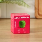 Таймер механический Доляна «Яблоко», кухонный, 6.5×7 см, зелёный - Фото 4