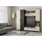 Гостиная «София-3», 2000×2200×500 мм, цвет венге/дуб молочный - Фото 1