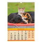 Календарь перекидной, ригель и пружина "Кошки на даче" 2019 год, 34х49см - Фото 2
