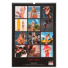 Календарь перекидной, ригель и пружина "Sexy Girl" 2019 год, 34х49см - Фото 3
