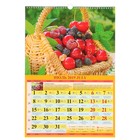 Календарь перекидной, ригель и пружина "Садово-огородный, лунный" 2019 год, 16,5х34см   3575424 - Фото 2