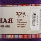 Пряжа "Воздушная" 25%меринос. шерсть, 25%шерсть, 50%акрил 370м/100гр (060 фиолетов.) - Фото 3