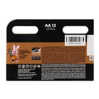 Батарейка алкалиновая Duracell Basic, AA, LR6-12BL, 1.5В, блистер, 12 шт. - Фото 5