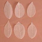 Сухие листья, (набор 5 шт), размер 1 шт:: 8×5 см, цвет белый - фото 8392068