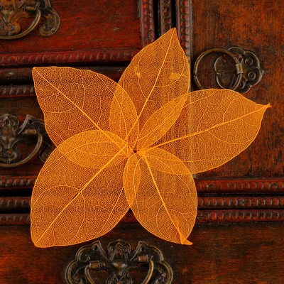 Сухие листья, (набор 5 шт), размер 1 шт:: 8×5 см, цвет оранжевый