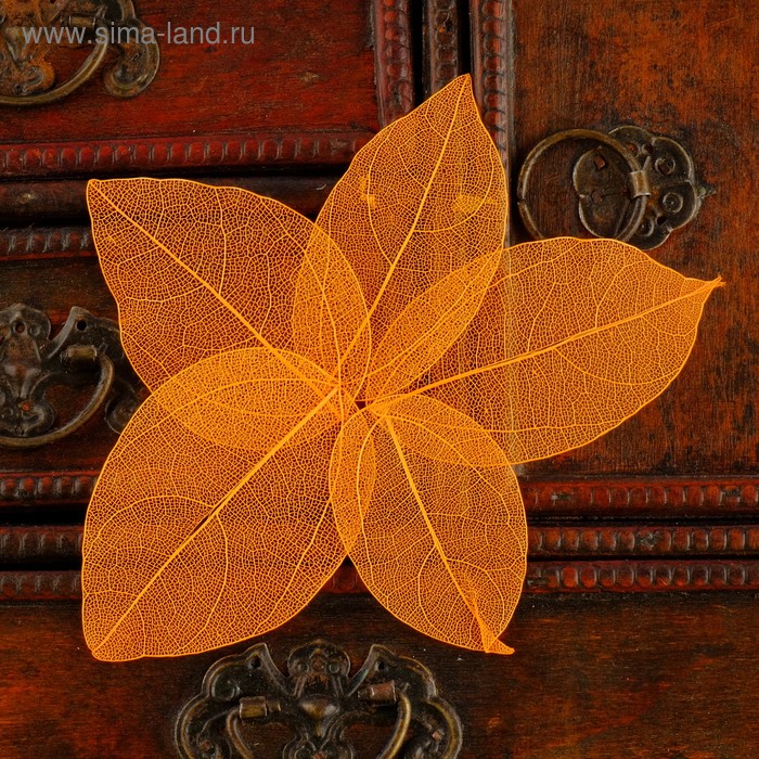 Сухие листья, (набор 5 шт), размер 1 шт:: 8×5 см, цвет оранжевый - Фото 1