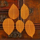 Сухие листья, (набор 5 шт), размер 1 шт:: 8×5 см, цвет оранжевый - Фото 3