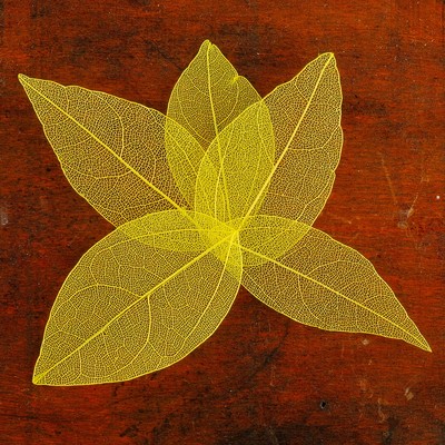 Сухие листья, (набор 5 шт), размер 1 шт:: 8×5 см, цвет жёлтый
