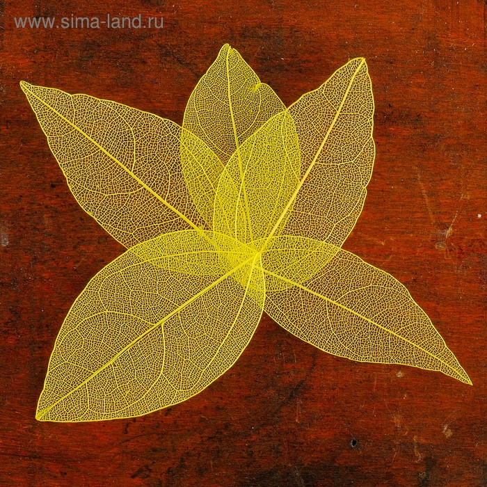 Сухие листья, (набор 5 шт), размер 1 шт:: 8×5 см, цвет жёлтый - Фото 1