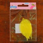 Сухие листья, (набор 5 шт), размер 1 шт:: 8×5 см, цвет жёлтый - Фото 4