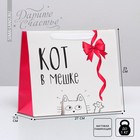 Пакет подарочный ламинированный горизонтальный, упаковка, «Кот в мешке», ML 23 х 27 х 11,5 см - Фото 1