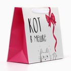 Пакет подарочный ламинированный горизонтальный, упаковка, «Кот в мешке», ML 23 х 27 х 11,5 см - Фото 3