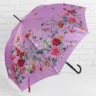 Зонт - трость полуавтоматический «Нежность», 8 спиц, R = 48 см, цвет розовый - Фото 1