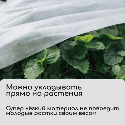 Материал укрывной, 10×3.2 м, плотность 20 г/м², с УФ-стабилизатором, белый, Greengo, Эконом 30%