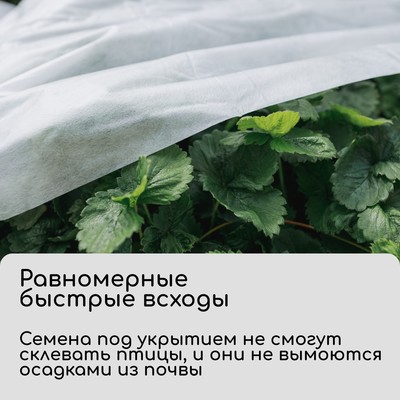 Материал укрывной, 10×3.2 м, плотность 20 г/м², с УФ-стабилизатором, белый, Greengo, Эконом 30%