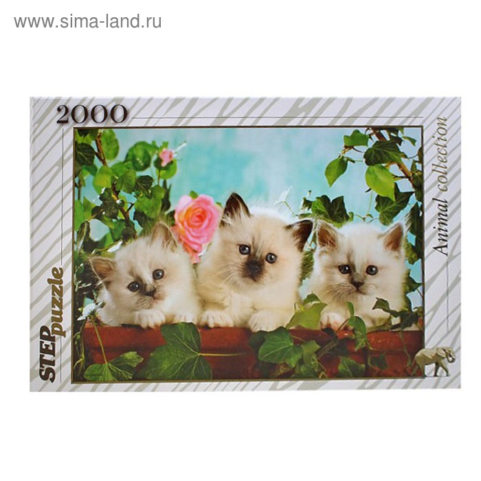 Пазлы "Котята с розой", 2000 элементов - Фото 1