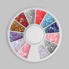 Пайетки для декора «Ассорти», 12 ячеек, разноцветные - фото 290276540