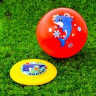 Игровой набор: фрисби, мяч детский «Дельфин», 22 см - Фото 1