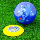 Игровой набор: фрисби, мяч детский «Дельфин», 22 см - Фото 6