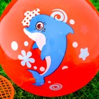 Игровой набор Ракетки, мяч детский Дельфин, 22 см, цвета МИКС - Фото 2