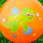 Игровой набор: скакалка, мяч детский "Черепашка", 22 см - Фото 3