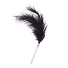 Игра для пар «Во власти страсти. Пробуди свою страсть», 5 в 1 (70 карт, плётка, перо, лента, 2 листа со сценариями), 18+ - Фото 4