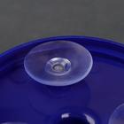 Контейнер для воротничков на присосках, 13 × 9 см, цвет синий - Фото 4