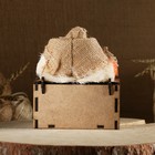 Оберег-домовой "Богатейка на сундуке, в колпаке", 20х14х10 см МИКС - Фото 4