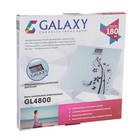 Весы напольные Galaxy GL 4800, электронные, до 180 кг, "узор" - Фото 4