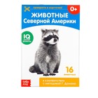 Обучающие карточки Г. Домана «Животные Северной Америки», на скрепке, 20 стр. - Фото 1