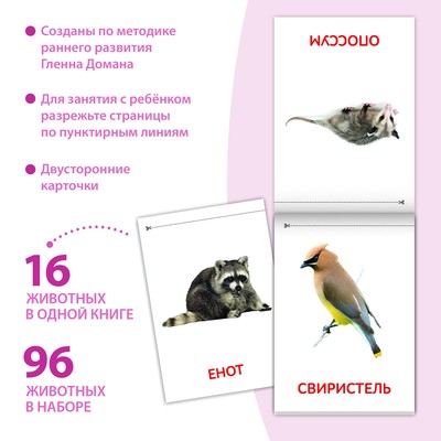Книги набор «Карточки Домана. Животные материков», 6 шт. по 20 стр.