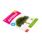 Обучающие карточки Г. Домана «Деревья», на скрепке, 20 стр. - Фото 2