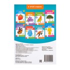 Обучающие карточки Г. Домана «Морские животные», на скрепке, 20 стр. - Фото 4