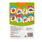 Обучающие карточки Г. Домана «Птицы», на скрепке, 20 стр. - Фото 4