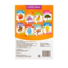 Обучающие карточки Г. Домана «Цветы», на скрепке, 20 стр. - Фото 4