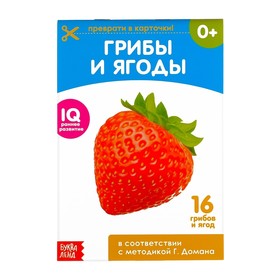 Обучающие карточки Г. Домана «Грибы и ягоды», на скрепке, 20 стр.