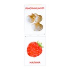 Обучающие карточки Г. Домана «Грибы и ягоды», на скрепке, 20 стр. - Фото 2