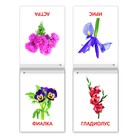 Книги «Карточки Домана. Окружающий мир», набор, 8 шт. по 20 стр. - Фото 6