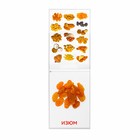 Обучающие карточки Г. Домана «Орехи и сухофрукты», на скрепке, 20 стр. - Фото 3