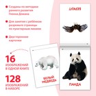 Книги «Карточки Домана. Узнаём мир», набор, 8 шт. по 20 стр. - Фото 2